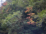 2009_10250015.JPG