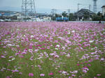 2009_10250047.JPG