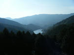 2009_11080010.JPG