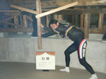 2009_11080068.JPG