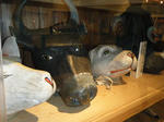 2009_11080076.JPG