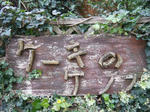 2009_11150163.JPG