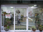 2009_11150164.JPG