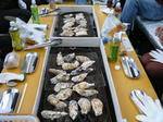 2009_11290035.JPG