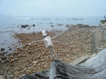2009_11290052.JPG