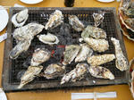 2010_01240021.JPG