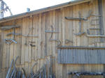 2010_01240028.JPG