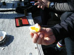 2010_01240035.JPG