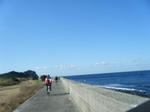 2010_01240044.JPG