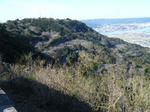 2010_02070011.JPG