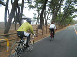 2010_02140055.JPG