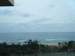 2010_02140070.JPG