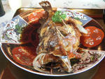 2010_02140067.JPG