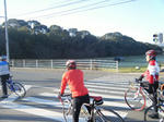 2010_02210011.JPG