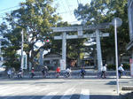 2010_02210045.JPG