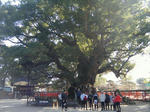 2010_02210039.JPG