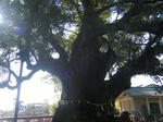 2010_02210043.JPG
