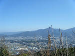 2010_02210053.JPG