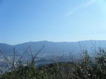 2010_02210055.JPG