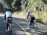 2010_02210025.JPG