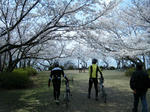 2010_03280049.JPG