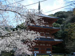 2010_03280035.JPG