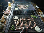 2010_03280066.JPG