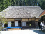 2010_04250031.JPG