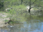 2010_04250037.JPG