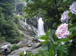 2010_07100042.JPG