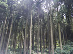 2010_07300020.JPG