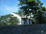 2010_09020082.JPG