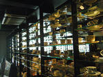 2010_08290028.JPG