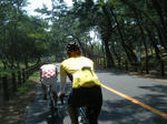 2010_08220058.JPG