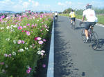 2010_10100071.JPG