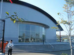 2010_10170011.JPG