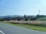 2010_10170028.JPG