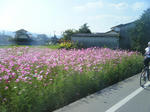 2010_10170054.JPG