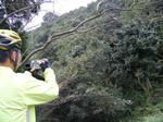 2010_10200040.JPG