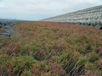 2010_10310047.JPG