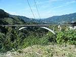 2010_11030040.JPG