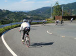 2010_11030047.JPG