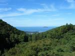 2010_11030057.JPG