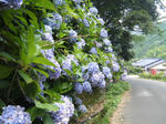 2010_07100047.JPG