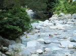 2010_08180016.JPG