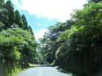 2010_08180020.JPG