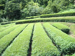 2010_08180045.JPG