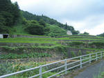 2010_08010027.JPG