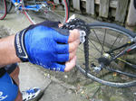 2010_08010028.JPG