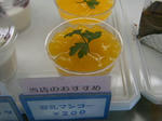 2010_08010063.JPG